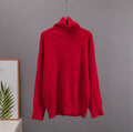 Hirsionsan Chic Turtle Neck Sweater